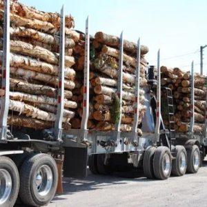 wood logistics